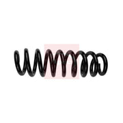 Apec Rear Suspension Coil Spring ACS1912