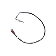 NRF Exhaust Gas Temperature Sensor before soot particu 707084