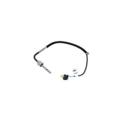 NRF Exhaust Gas Temperature Sensor before soot partic 707064