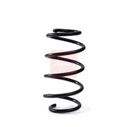 Apec Front Suspension Coil Spring ACS2077