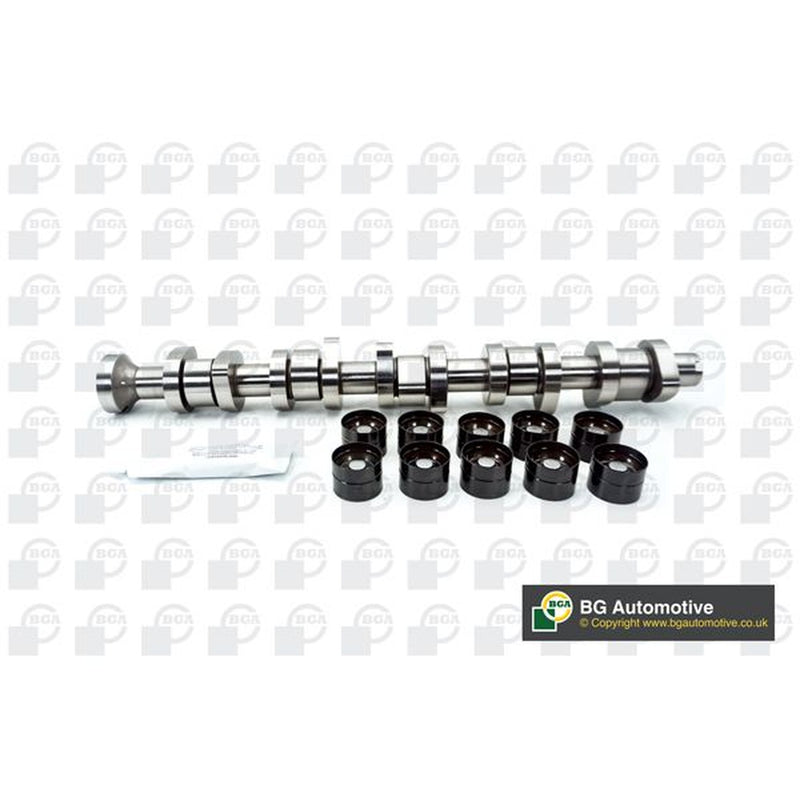 BGA Camshaft Kit Set With Bearings Intake Side CS9650K