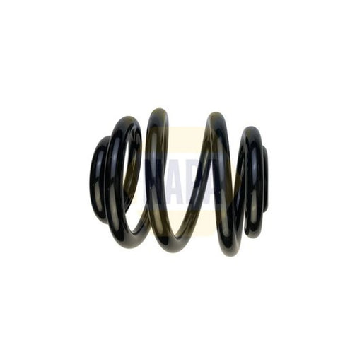 NAPA Rear Suspension Coil Spring NCS1922
