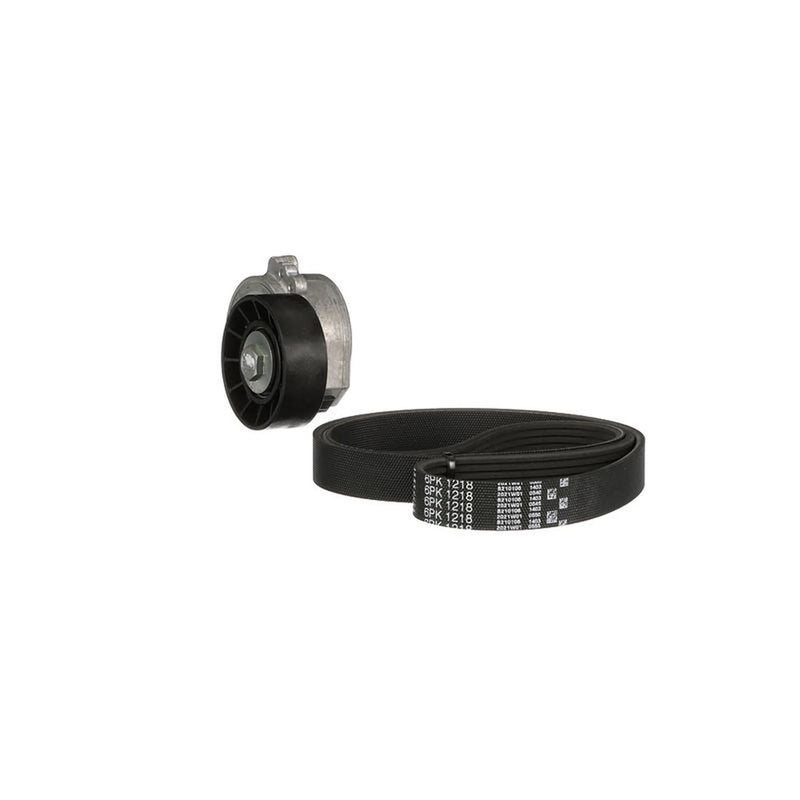 Gates V-Ribbed Belt Set K026PK1218