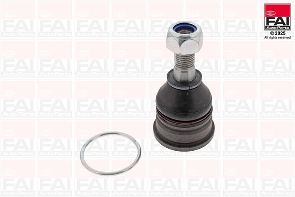 FAI Ball Joint