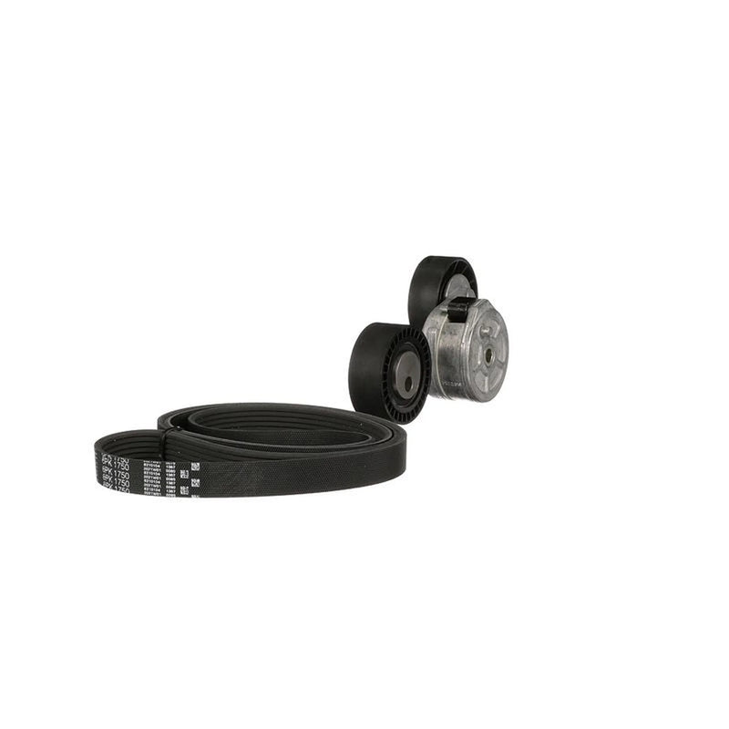 Gates V-Ribbed Belt Set K026PK1750