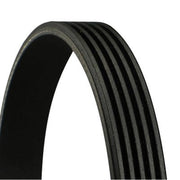 Continental CTAM Multi V-Ribbed Drive Belt 5PK1585