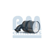 BM Catalysts Dpf BM11103