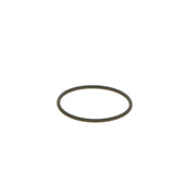 Bosch Rubber Seal Ring F 00N 202 130