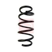 Apec Front Suspension Coil Spring ACS1675