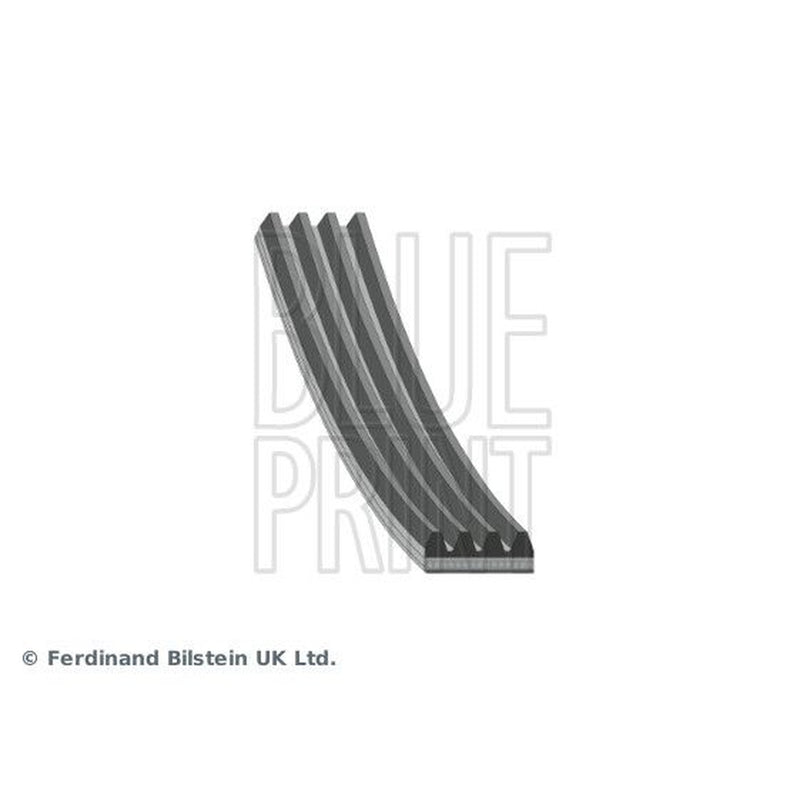 Blue Print Multi V-Ribbed Drive Belt AD04R765