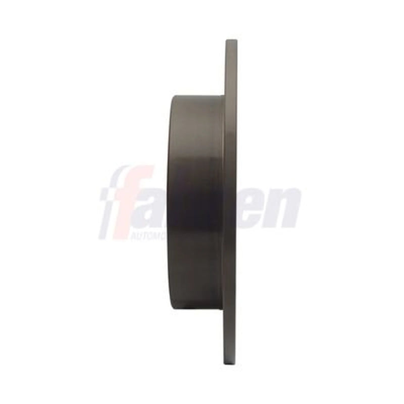 Fahren 2 x Solid Rear Brake Discs FBD6160
