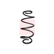 Apec Front & Rear Suspension Springs ACS1698