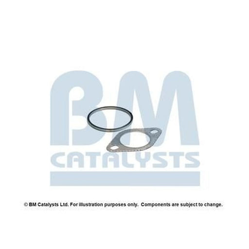 BM Catalysts Fitting Kit FK92066A FK92066A