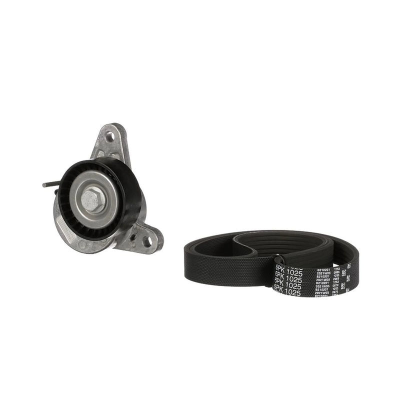 Gates V-Ribbed Belt Set K016PK1025