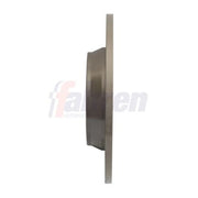Fahren 2 x Solid Rear Brake Discs FBD7160