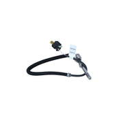 NRF Exhaust Gas Temperature Sensor before soot partic 707258