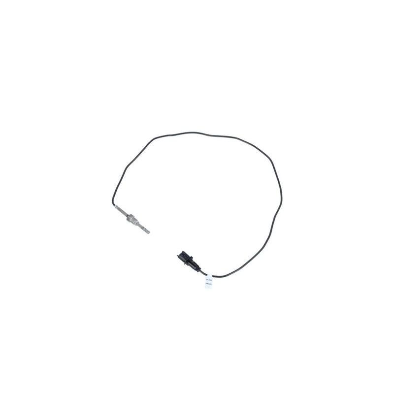 NRF Exhaust Gas Temperature Sensor before soot particulate f 707163