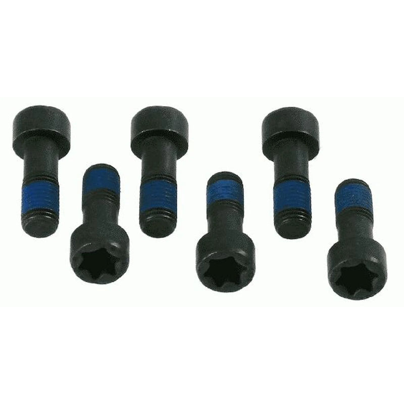 Sachs Dmf Screw Set (Special Order) 1874000035 71739389 1874000035