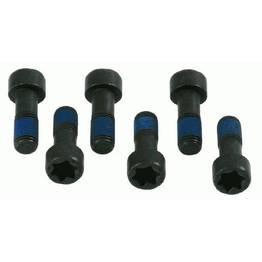 Sachs Dmf Screw Set (Special Order) 1874000035 71739389 1874000035