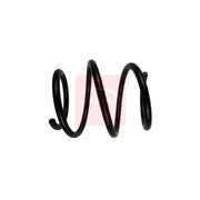 Apec Front Suspension Coil Spring ACS1818