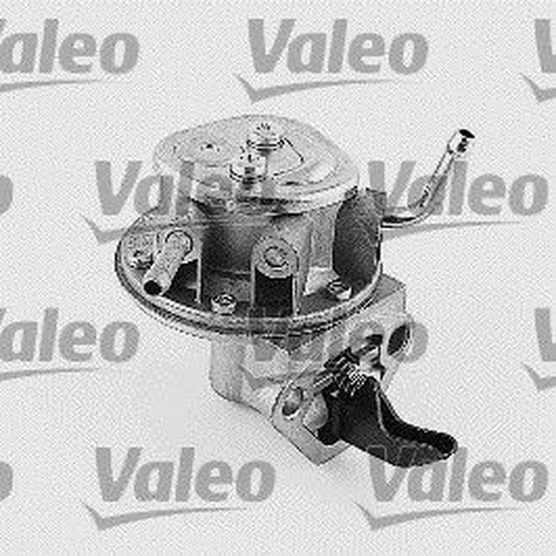 Valeo Fuel Pump Assembly 247000