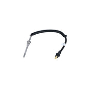 NRF Exhaust Gas Temperature Sensor before soot partic 707092