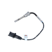NRF Exhaust Gas Temperature Sensor before soot particu 707112