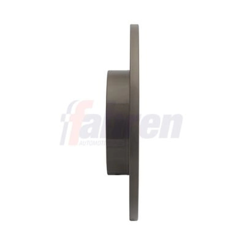Fahren 2 x Solid Rear Brake Discs FBD6466