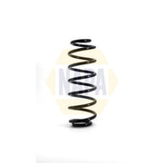 NAPA Rear Suspension Coil Spring NCS1119