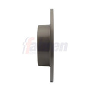 Fahren 2 x Solid Rear Brake Discs FBD6170
