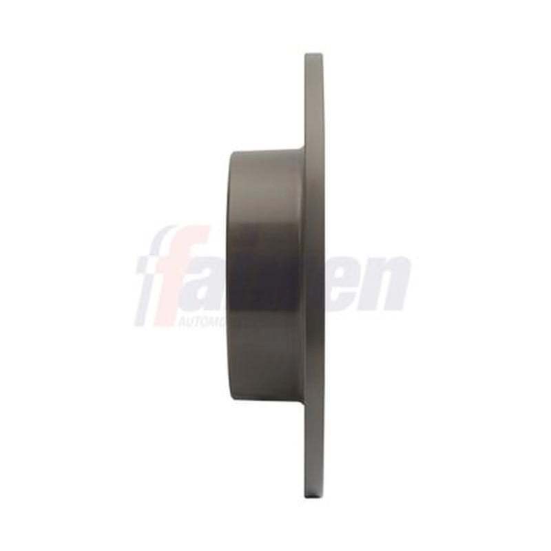 Fahren 2 x Solid Rear Brake Discs FBD6170
