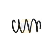 NAPA Front Suspension Coil Spring NCS1826