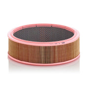 MANN-FILTER Engine Air Filter C 35 111 OE 52438