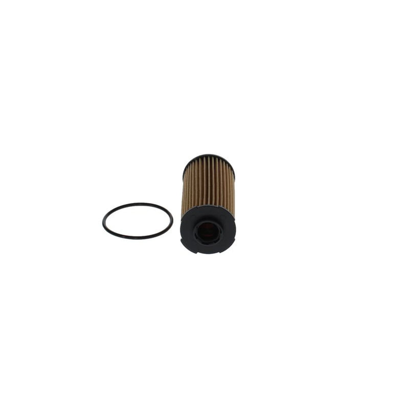 Bosch Engine Oil Filter F 026 407 305