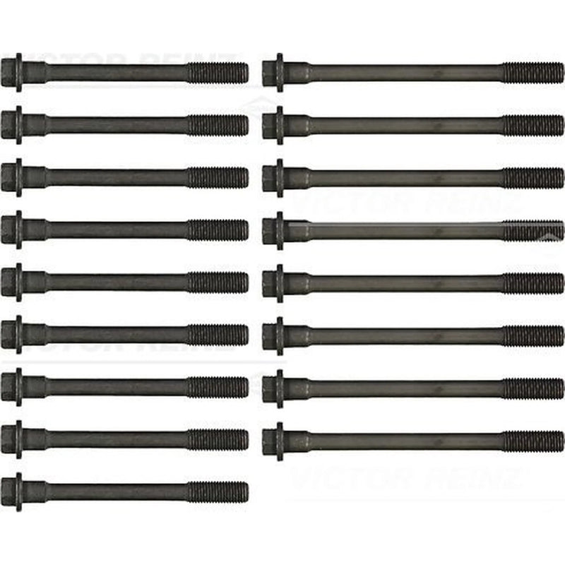 Victor Reinz Cylinder Head Bolt Set M12 14-32080-01