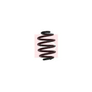 Apec Rear Suspension Coil Spring ACS1613