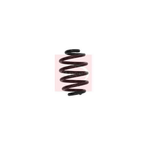 Apec Rear Suspension Coil Spring ACS1613