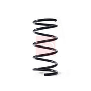 Apec 2 x Suspension Springs ACS1730