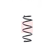 Apec Front & Rear Suspension Springs ACS1442