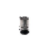 Mahle Air Conditioning Compressor ACP 1700 000P