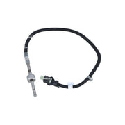 NRF Exhaust Gas Temperature Sensor before soot partic 707164