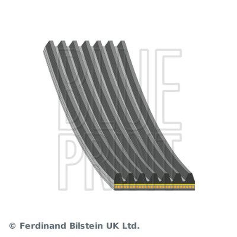 Blue Print Multi V-Ribbed Drive Belt AD07A994