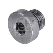 Febi Automatic Transmission Casing Screw Plug OD Steel 100547