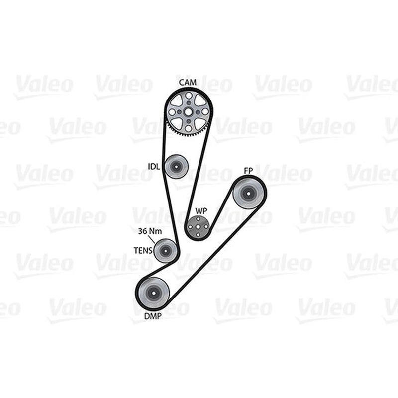 Valeo Timing Belt & Water Pump Kit 614581