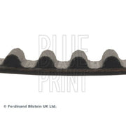 Blue Print Timing Belt Cambelt 123 Teeth ADC47525
