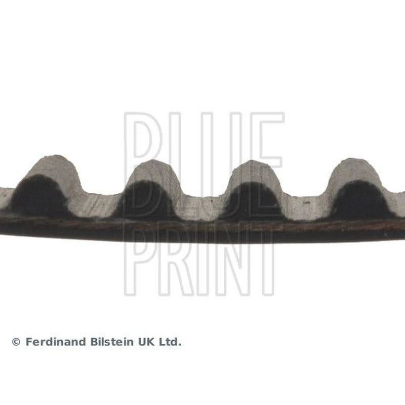 Blue Print Timing Belt Cambelt 123 Teeth ADC47525