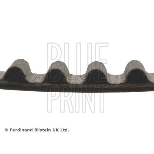 Blue Print Timing Belt Cambelt 123 Teeth ADC47525