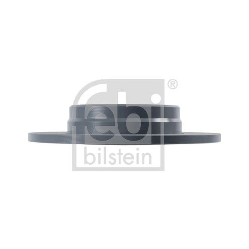 Febi 2 x Solid Rear Brake Discs 17829