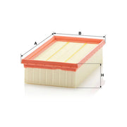 MANN-FILTER Engine Air Filter C 2485/2
