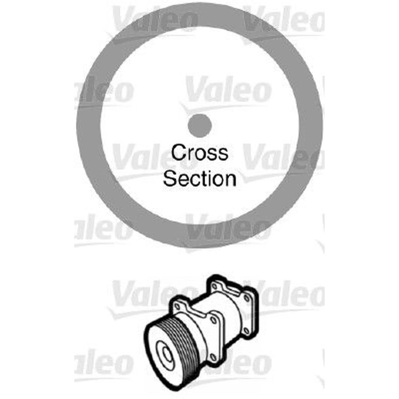Valeo A/C O'Ring - Bag Per 20 509175 1854 905 509175